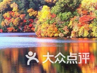 匆忙离开