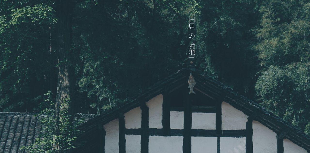 僵尸维京