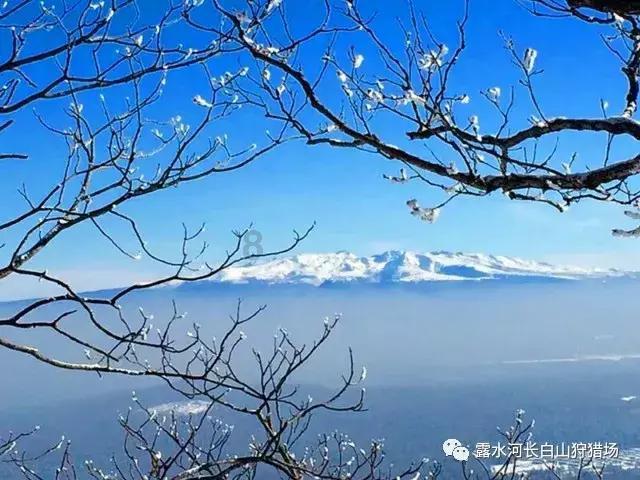 新春换机怎么选？这几款“实力派”推荐给你 2299元起
