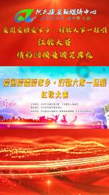 小猪仔要回家